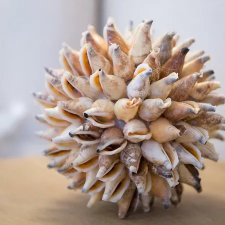 Frühstückspension Le Saline